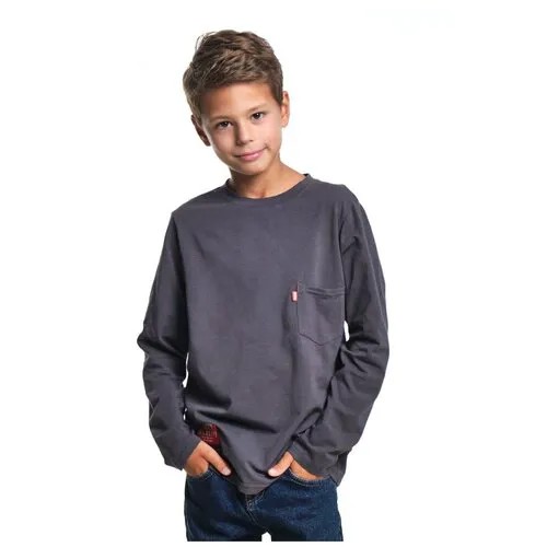 Лонгслив для мальчиков Mini Maxi, модель 7509, цвет серый, размер 128