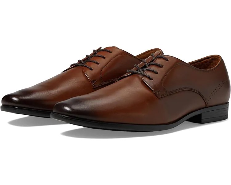Оксфорды ALDO Nelsen, цвет Other Brown