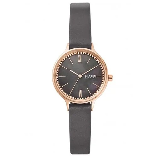 Наручные часы SKAGEN SKW2909