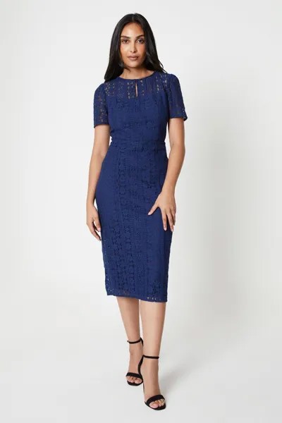 Кружевное платье-карандаш Petite Premium премиум-класса Wallis, темно-синий