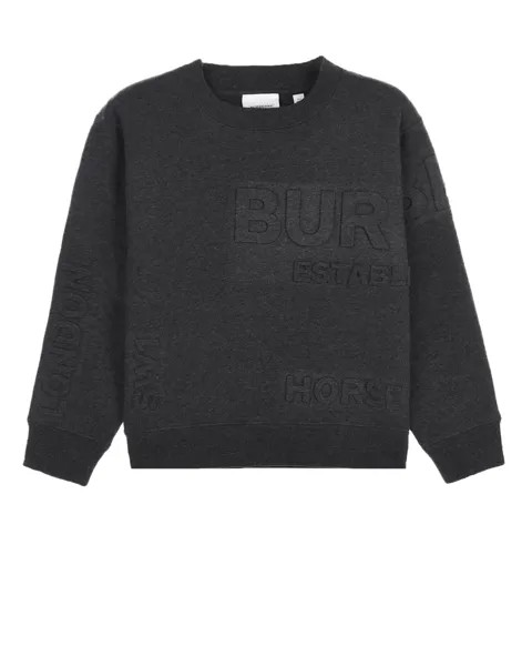 Темно-серый свитшот с объемным логотипом Burberry детское