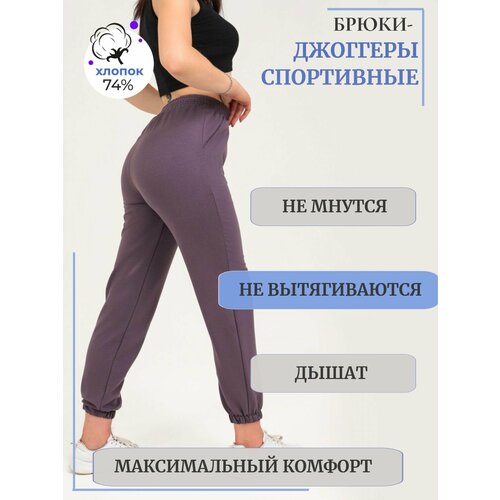 Брюки спортивные Промдизайн, размер 46, фиолетовый