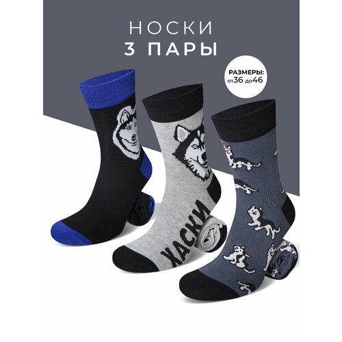 Носки MACHO, комплект, 3 пары, размер 41-43, черный/серый/синий