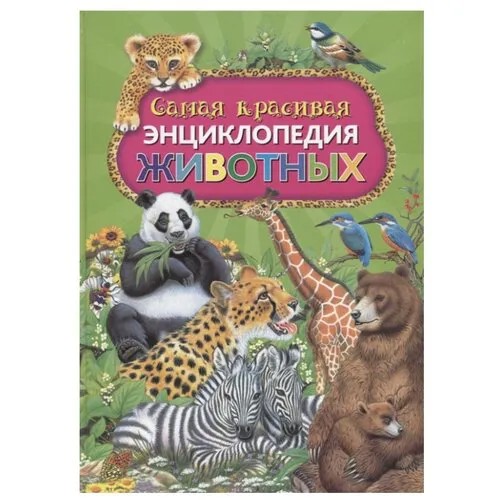 Ровира П. 