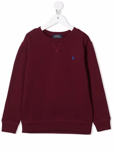 Ralph Lauren Kids джемпер с логотипом Polo Pony