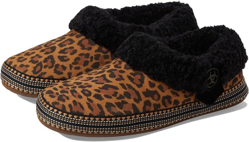 Тапочки Ariat Melody Slipper, цвет Leopard