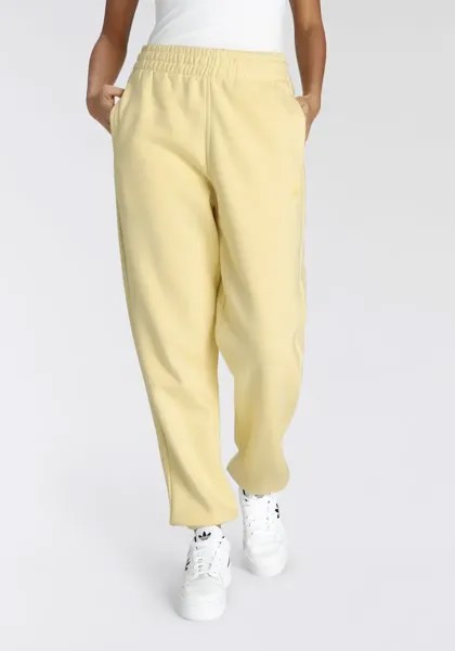 Спортивные брюки Adidas Originals 