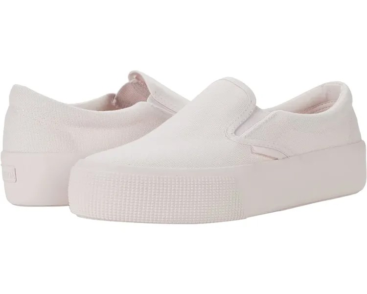 Кроссовки Superga 2306 Cotu Sneaker, цвет Total Pink