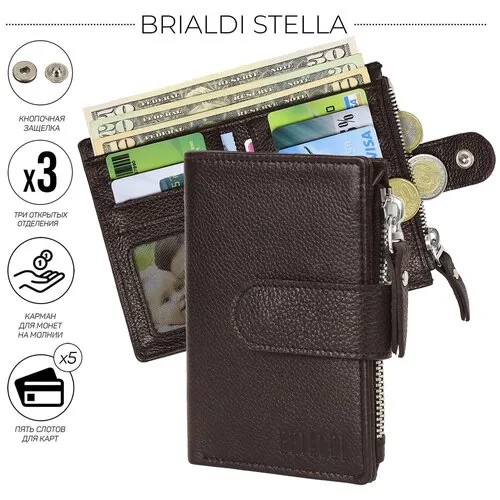 Мужское кожаное портмоне MINI-формата BRIALDI Stella BR48532ZP relief brown
