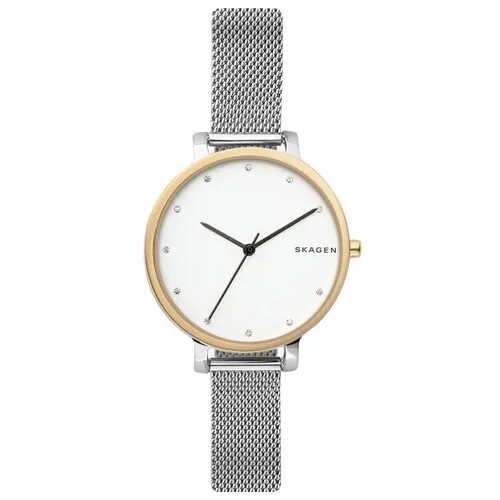 Наручные часы SKAGEN SKW2661