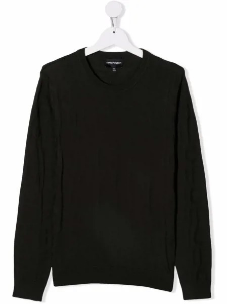 Emporio Armani Kids джемпер с логотипом