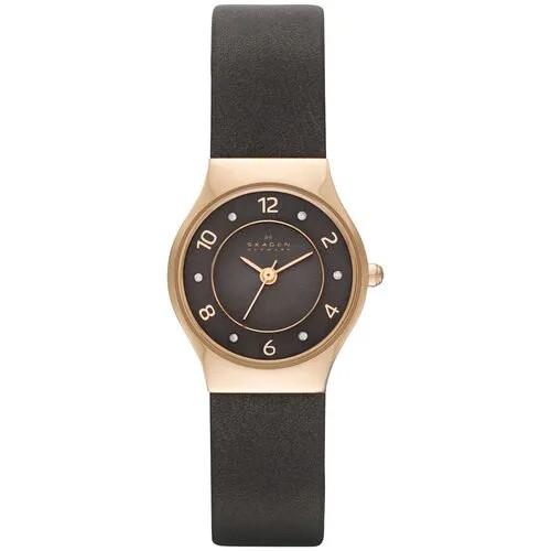 Наручные часы Skagen SKW2208