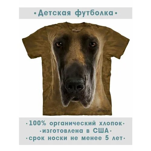 Футболка The Mountain, размер M-Y, коричневый