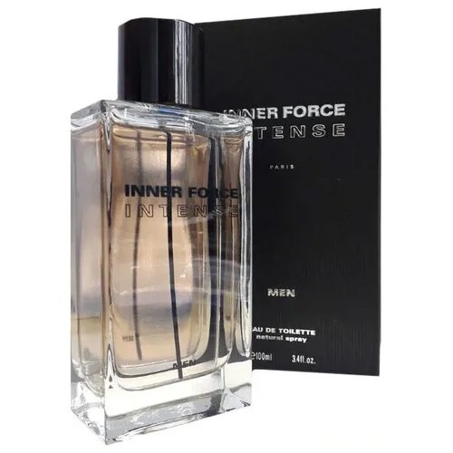 Туалетная вода мужская GLENN PERRI INNER FORCE 100 ML