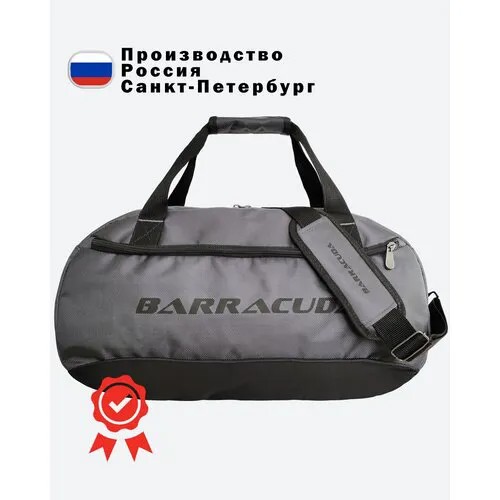 Сумка спортивная BARRACUDA, 25 л, 50х30х19 см, ручная кладь, серый