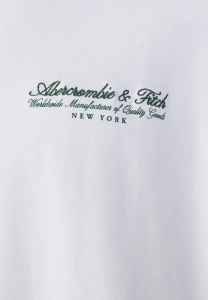 Базовая футболка PREMIUM POLISH LOGO Abercrombie & Fitch, белый