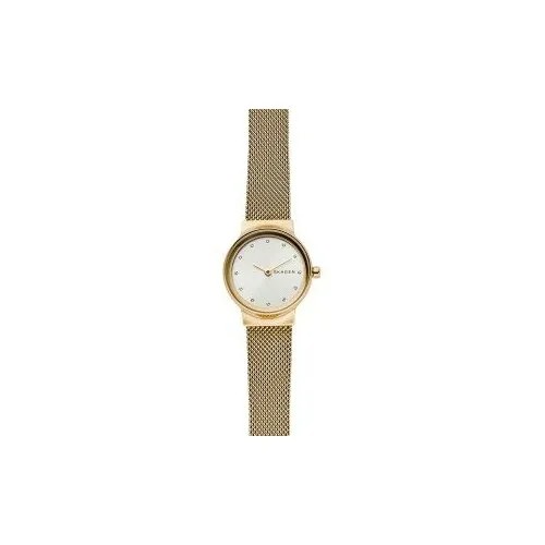 Наручные часы Skagen SKW1108